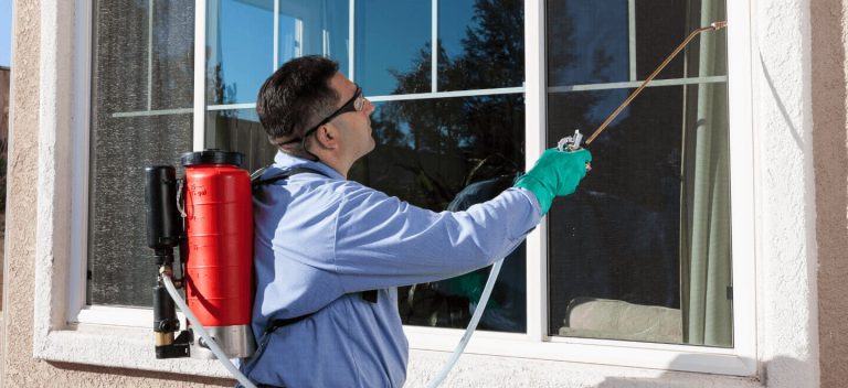 Commercial Pest Control: Protecting Your Business Investment