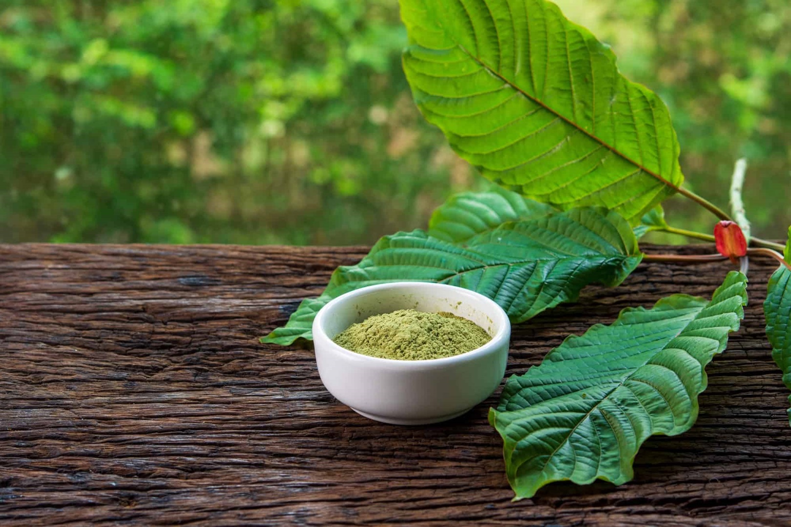 Feel the Surge Discovering Kratom as an Energizing Ally